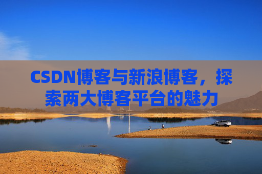 CSDN博客与新浪博客，探索两大博客平台的魅力